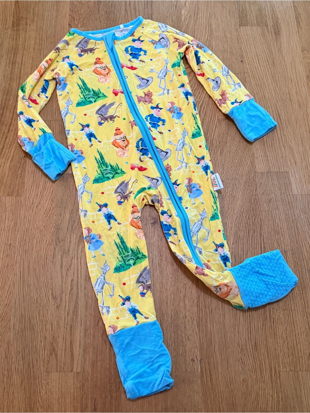 Bamboo Bliss 6-12 MONTHS Wizard of Oz One Piece Zippy Pajama